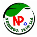 NEZERWA PLUS LTD